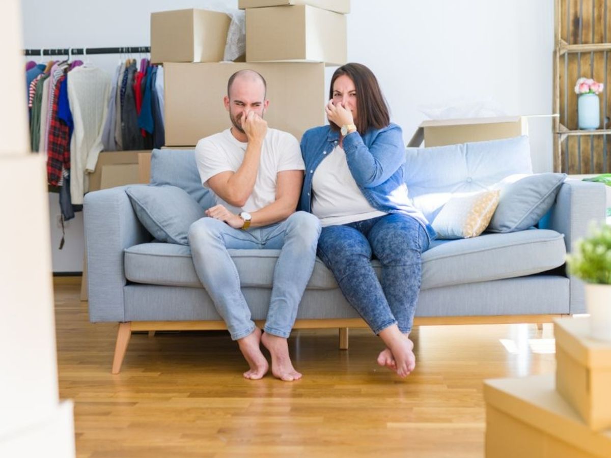 Musty Odors or High Humidity